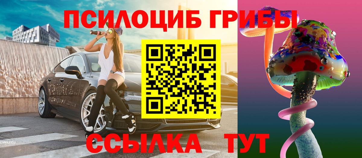 Сорочинск  Псилоцибиновые грибы MAGIC MUSHROOMS  Вход с VPN 